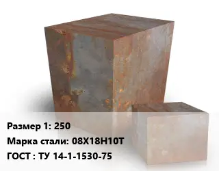 Поковка квадратная 250 Сталь: 08Х18Н10Т ГОСТ: ТУ 14-1-1530-75